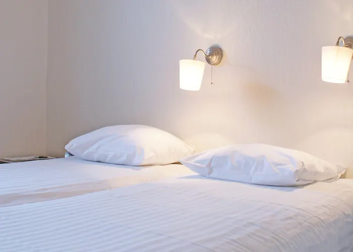 フレッチャー レストラン デ ブルグホーヴ ファルケンブルフ